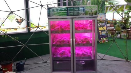 創新引領未來農業 麗水市農科院快繁中心的多維技術探索