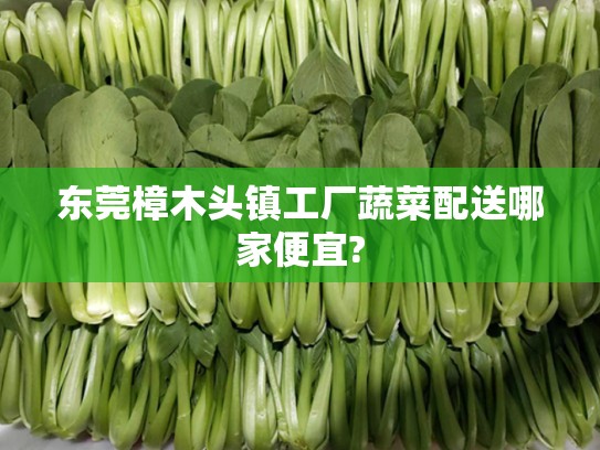 樟木頭鎮工廠蔬菜配送，哪家更便宜又新鮮？