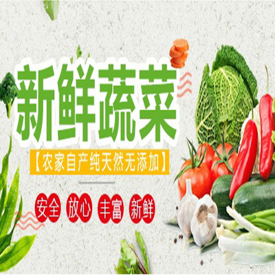 清新區食材批發與蔬菜配送服務報價指南 大型市場直供，食堂送菜無憂