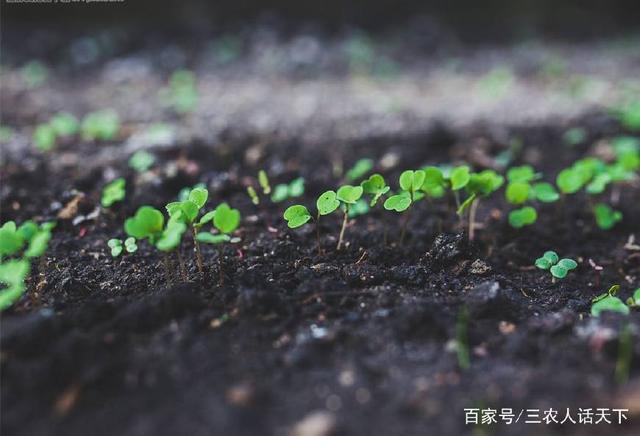 土壤也會生病 土壤修復(fù)問題刻不容緩
