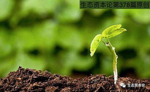 姜林親贊土壤修復(fù)專(zhuān)家 提升“免疫能力”是未來(lái)修復(fù)關(guān)鍵